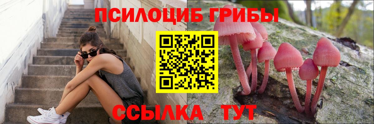 Псилоцибиновые грибы Cubensis  Вход с VPN  где можно купить   Галлюциногенные грибы Psilocybe  Кизилюрт 