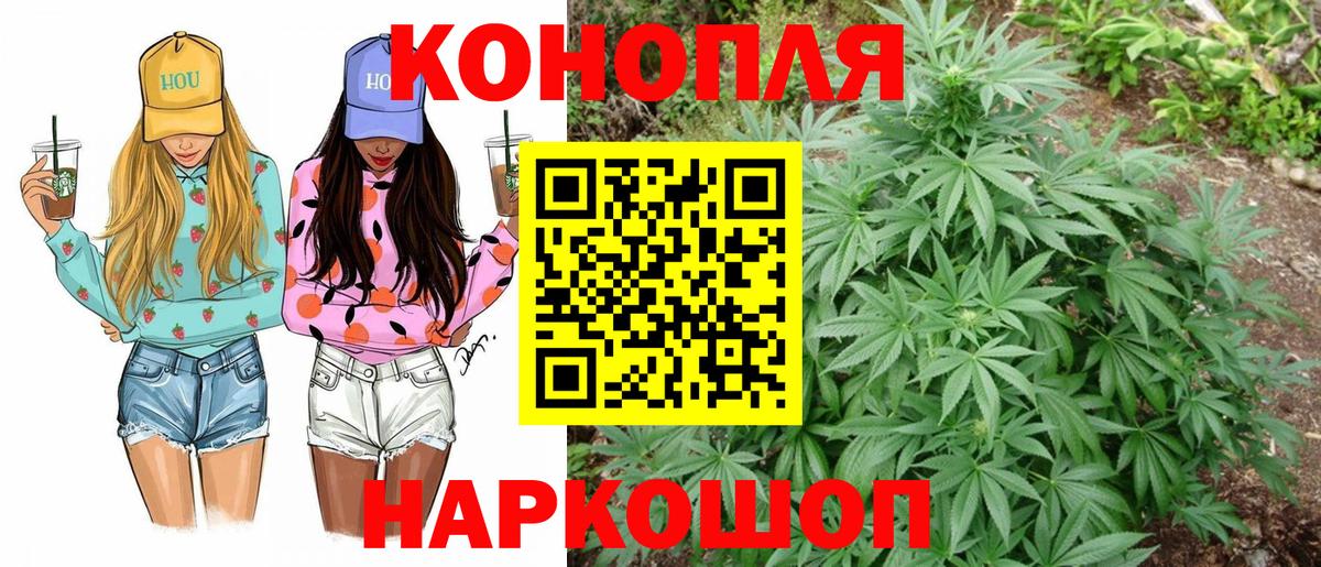 Кизилюрт  Конопля план  Вход с VPN  Конопля семена  Бошки Шишки THC 21% 